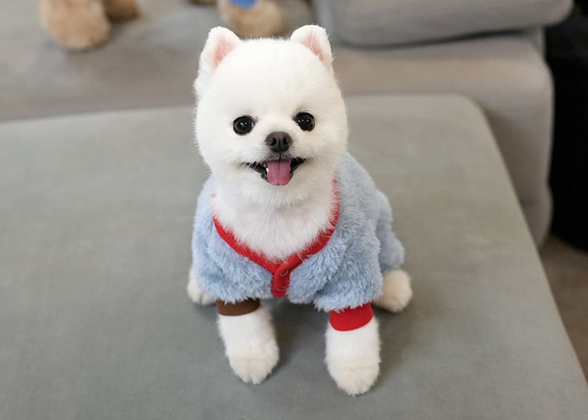 bear fleece all in one S ~ 2XL 2color  /  犬服 秋冬 新作 もこもこ フリース オールインワン 可愛い 犬の服 暖かい ドッグウェア ペット ワンコ服 小型犬 中型犬 猫 ロンパース b60