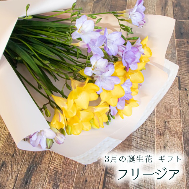3月の誕生花 花言葉は親愛の情 フリージアを束ねた3月の誕生花 Flow 花束やアレンジメントや誕生花 を通信販売でお届け 笑顔を束ねるフローリスト