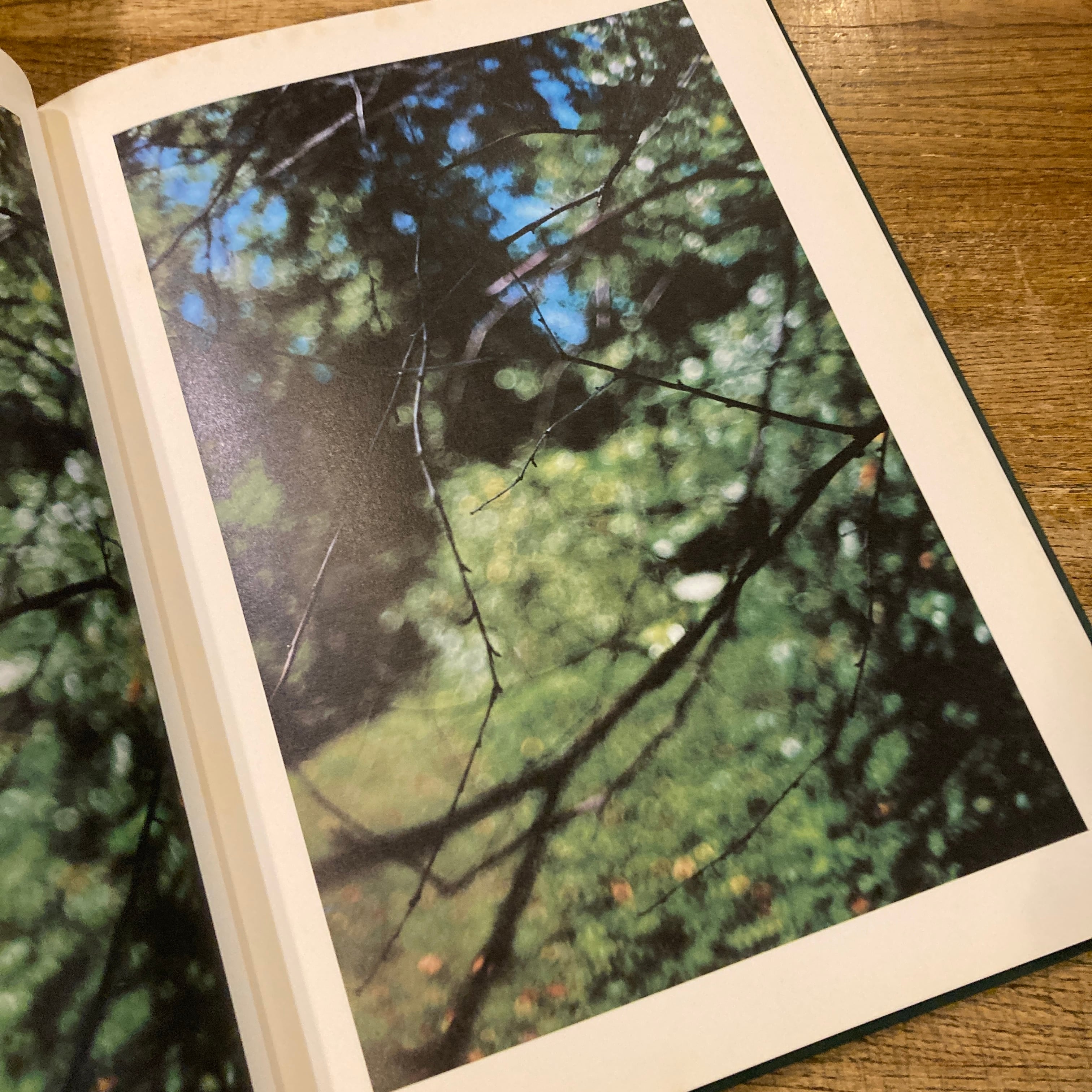 2000部限定写真集Terri Weifenbach Hunter Green HUNTER GREEN / Terri Weifenbach テリ・ワイフェンバック | 百年