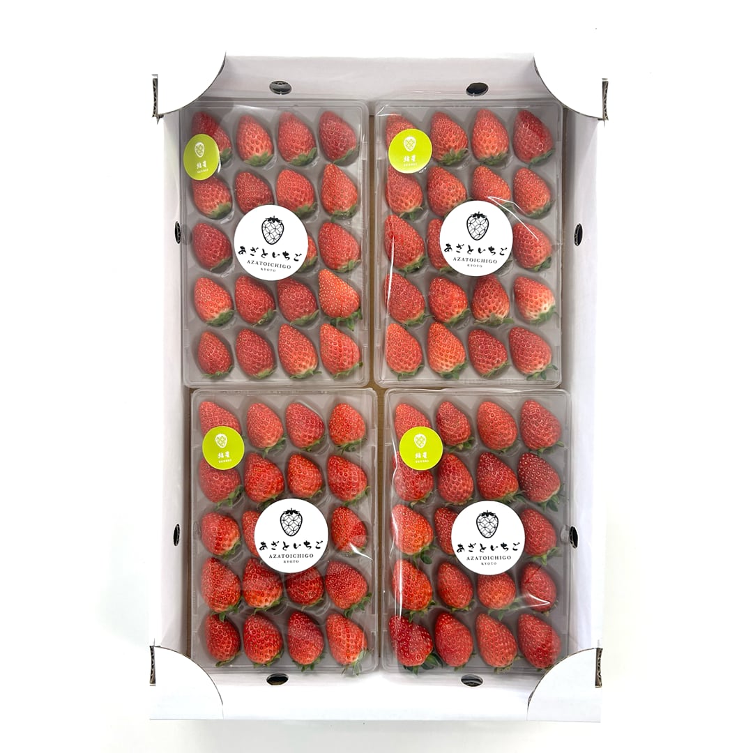 あざといちご-AZATOICHIGO- 【 4P入 】