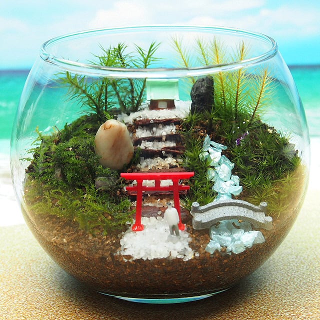 苔神社【苔テラリウム・手作りキット一式】金魚鉢 | 工房・津軽moss