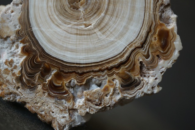 モロッコ産カルサイト/アラゴナイト Calcite / Aragonite 1859