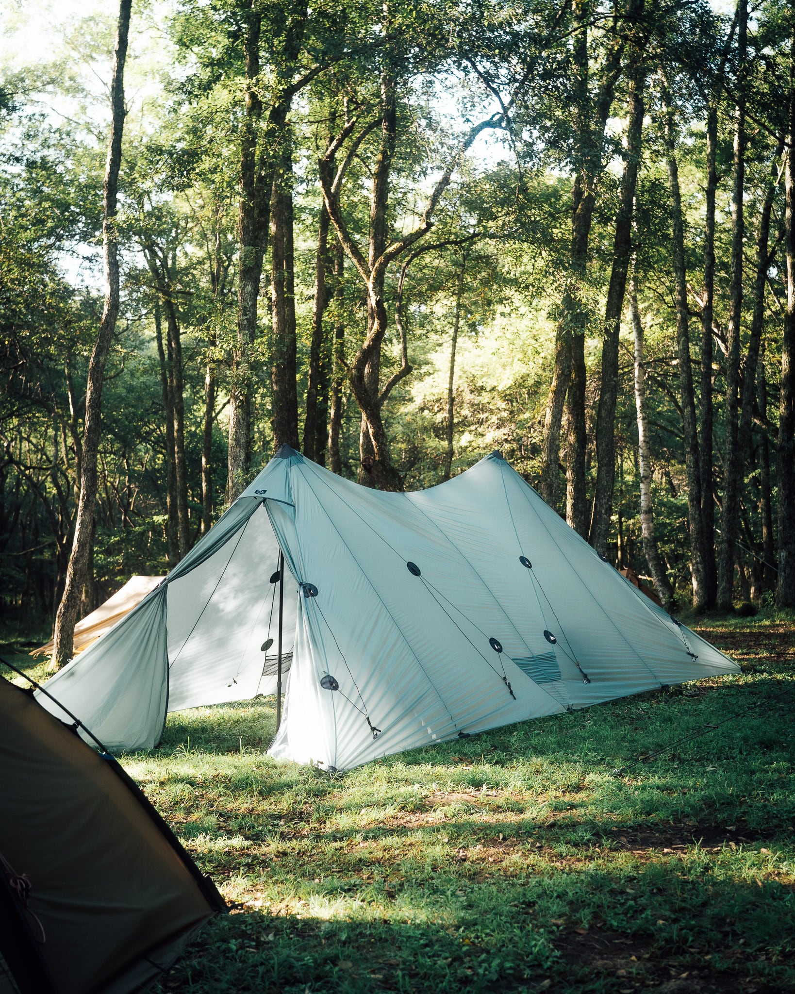 ベアロック プレテント PreTents Bealock Pewter テント Pre Tents（プレテント）Bealock / Pewter - STANDARD point