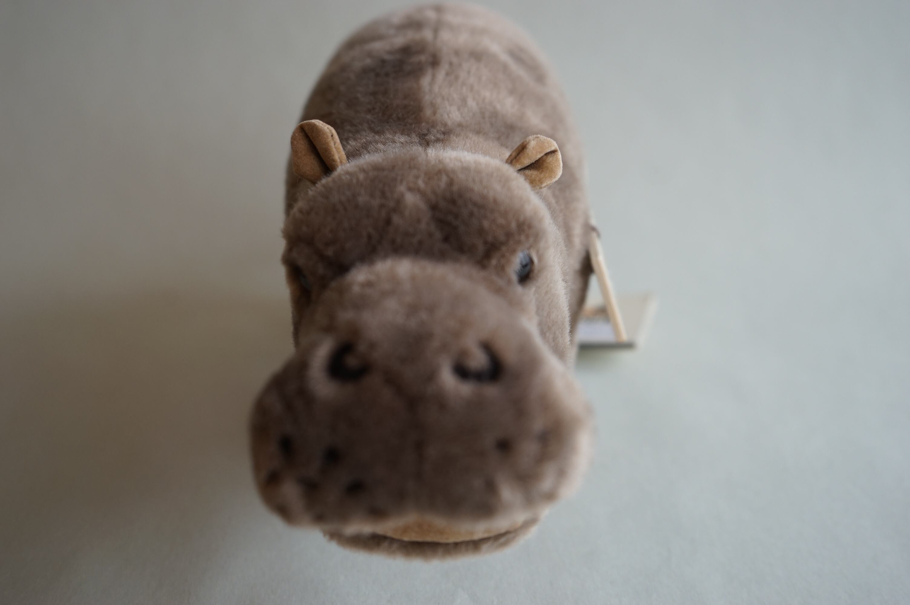 かば（ミニ） ケーセン社 | PLAY＋TOYS のはらむら