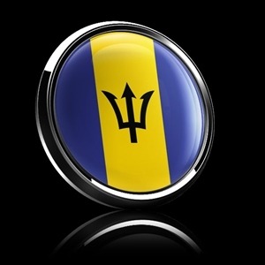 213番 ゴーバッジ FLAG BARBADOS