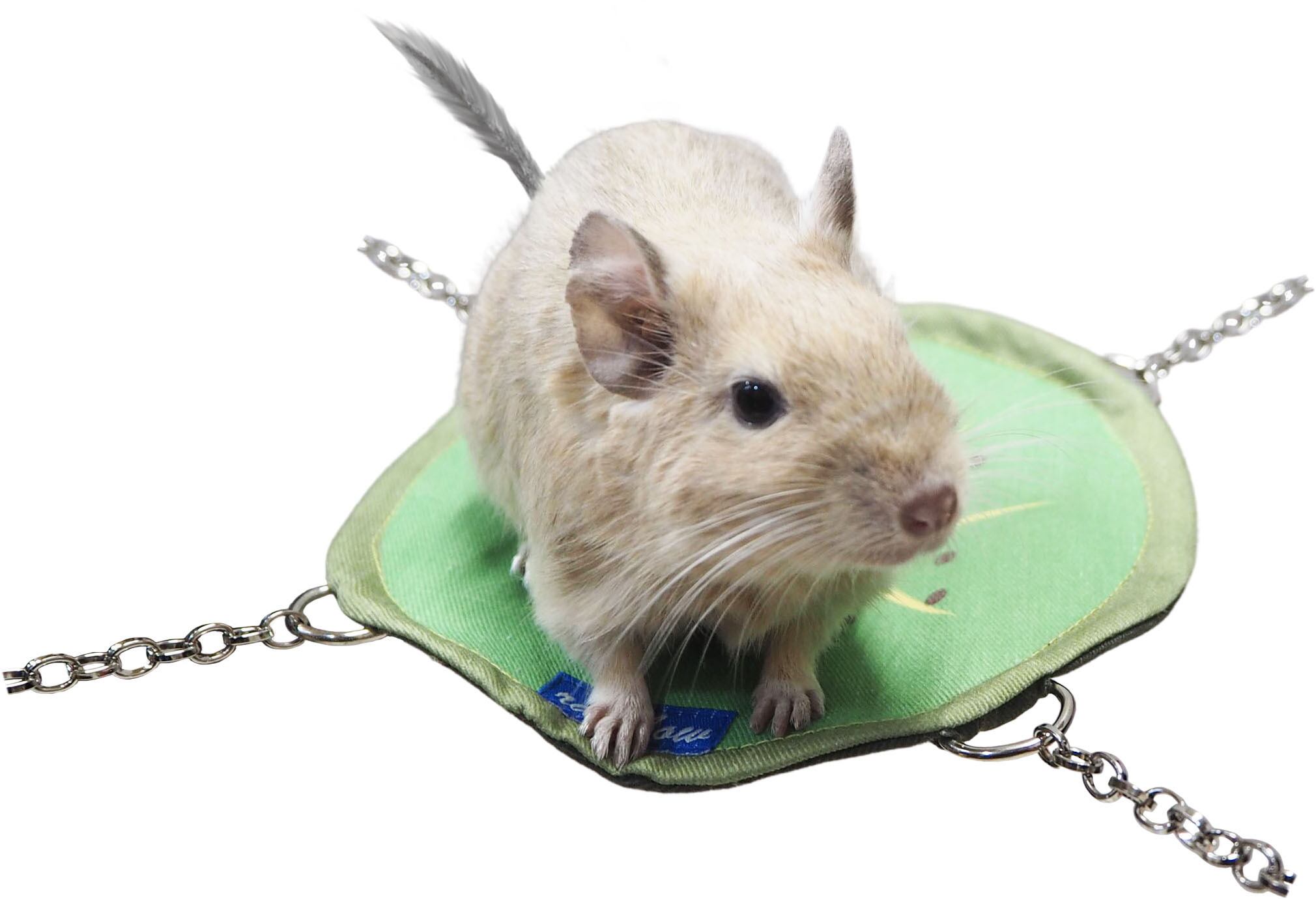 【小動物】まんまるフルーツハンモック りんご / オレンジ / キウイ