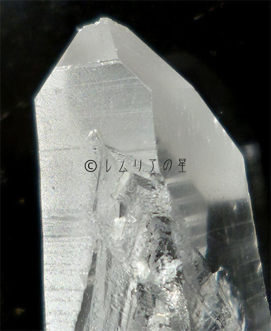 981 ミニレムリアンシード、ステップドアカシックライン、ポイント