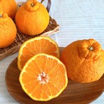 【贈答用】完熟アルギット不知火(露地)約3.0kg 【のし対応可】【2月中・下旬頃から順次発送予定】