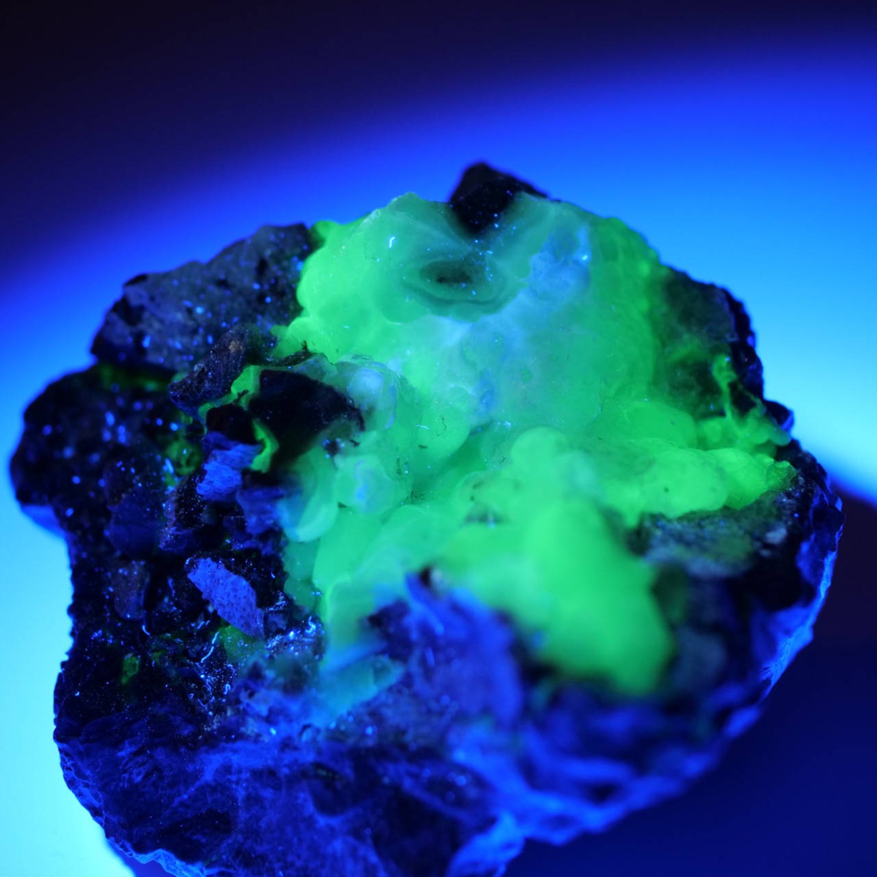 ハイアライトオパール / 原石 標本