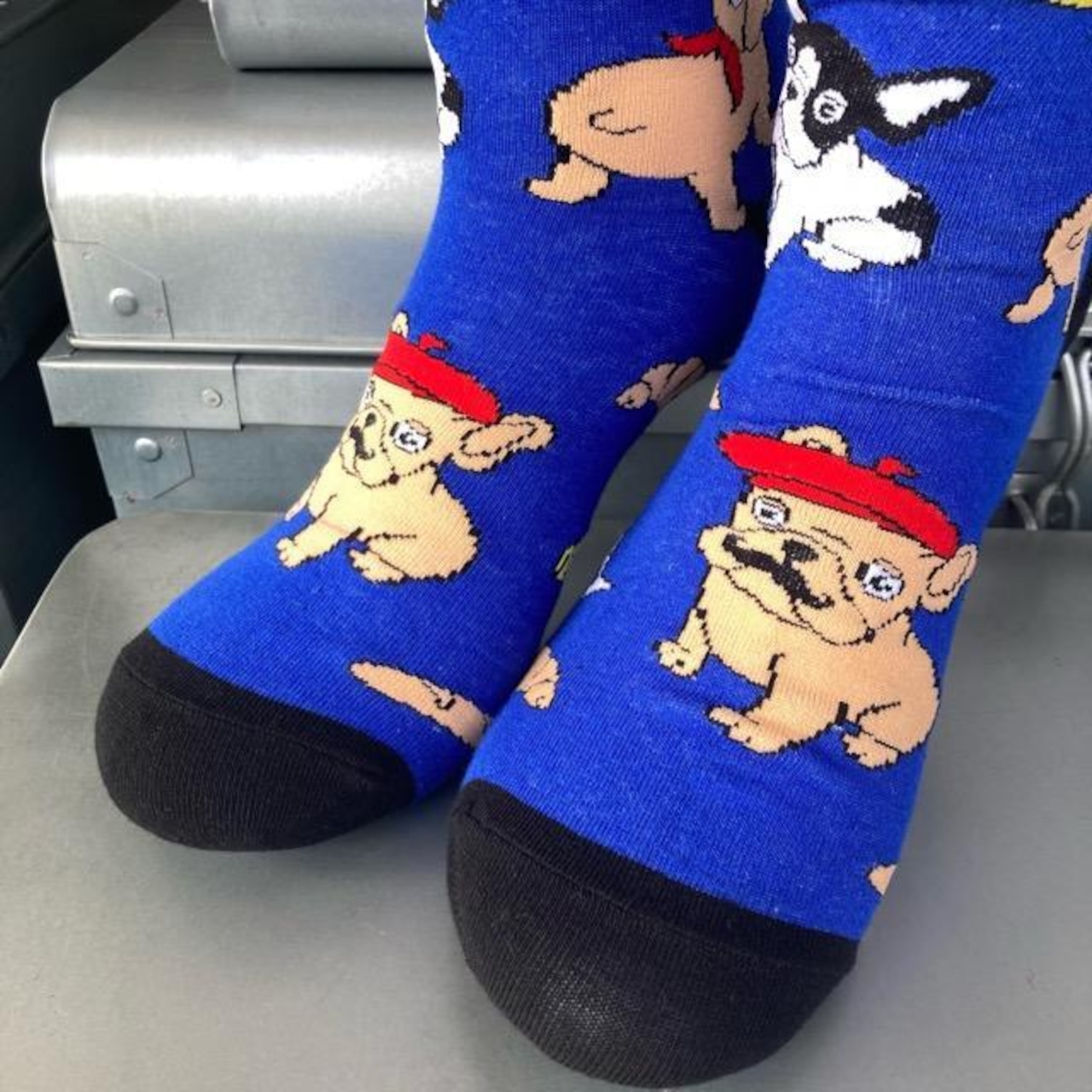 TOPANGA SOCKS Men's　パリっ子フレブルソックス　ブルー　靴下　フレンチブル ドッグ　フランス　クルーソックス