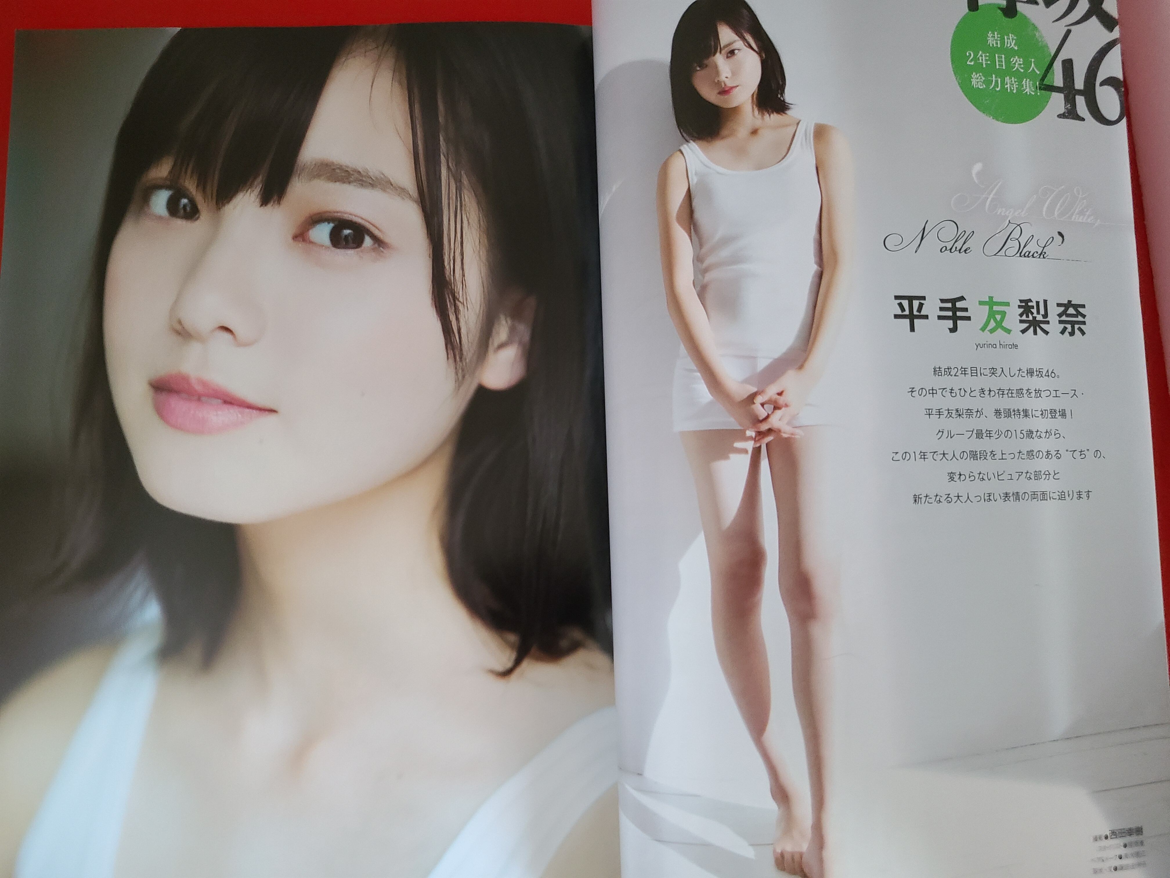 おすすめ雑誌 当時物 Gザテレビジョン VOL.47 特集 平手友梨奈 BIG