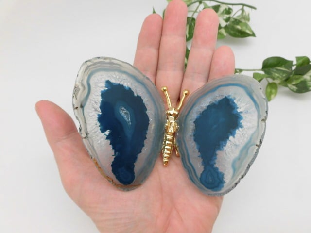 【瑪瑙】　ゴージャス蝶々　no.4