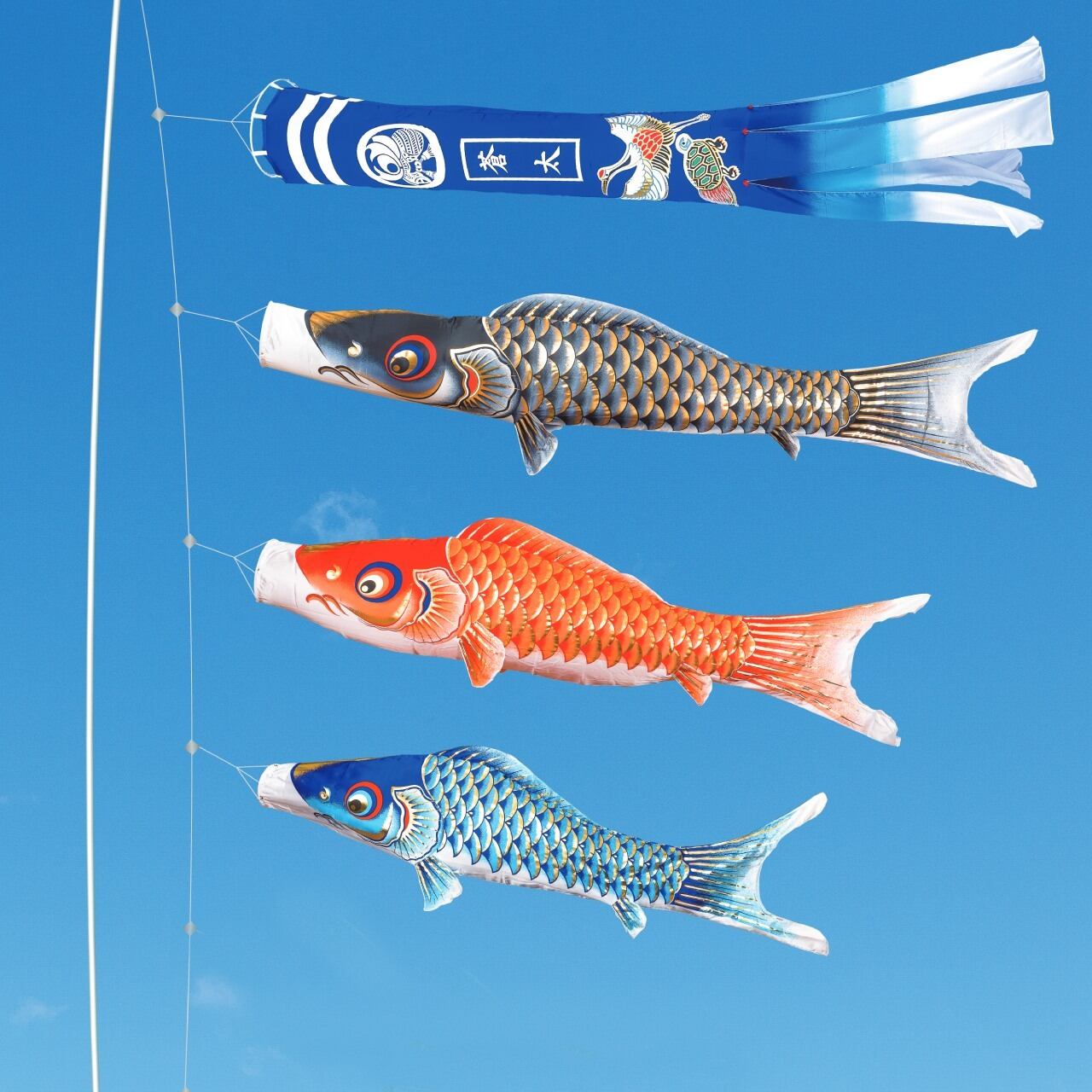 龍王誕生　7M６点セット　撥水付き（山下鯉のぼり）