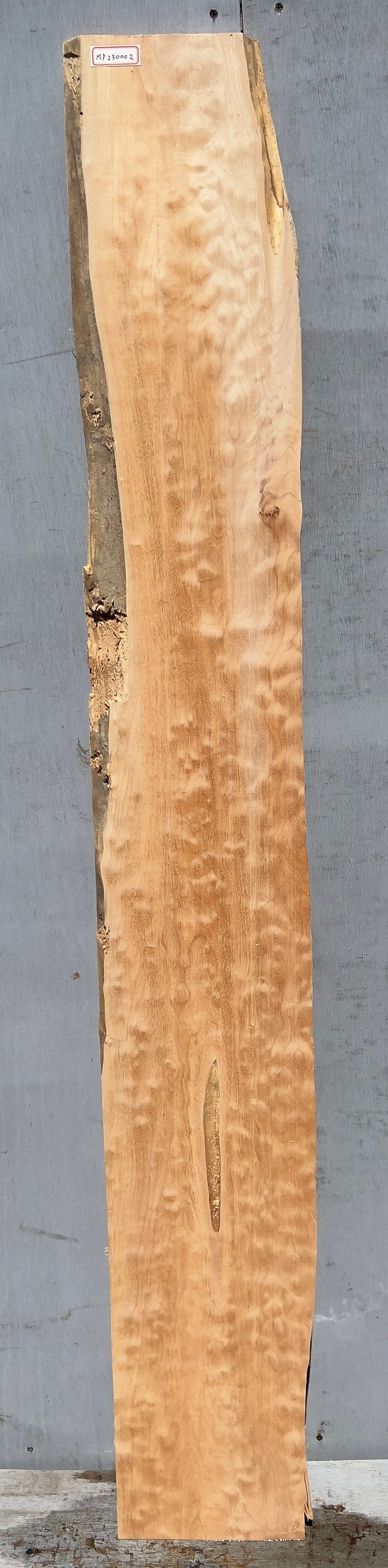 Quilted Maple】キルテッドメイプル | automnforest workshop