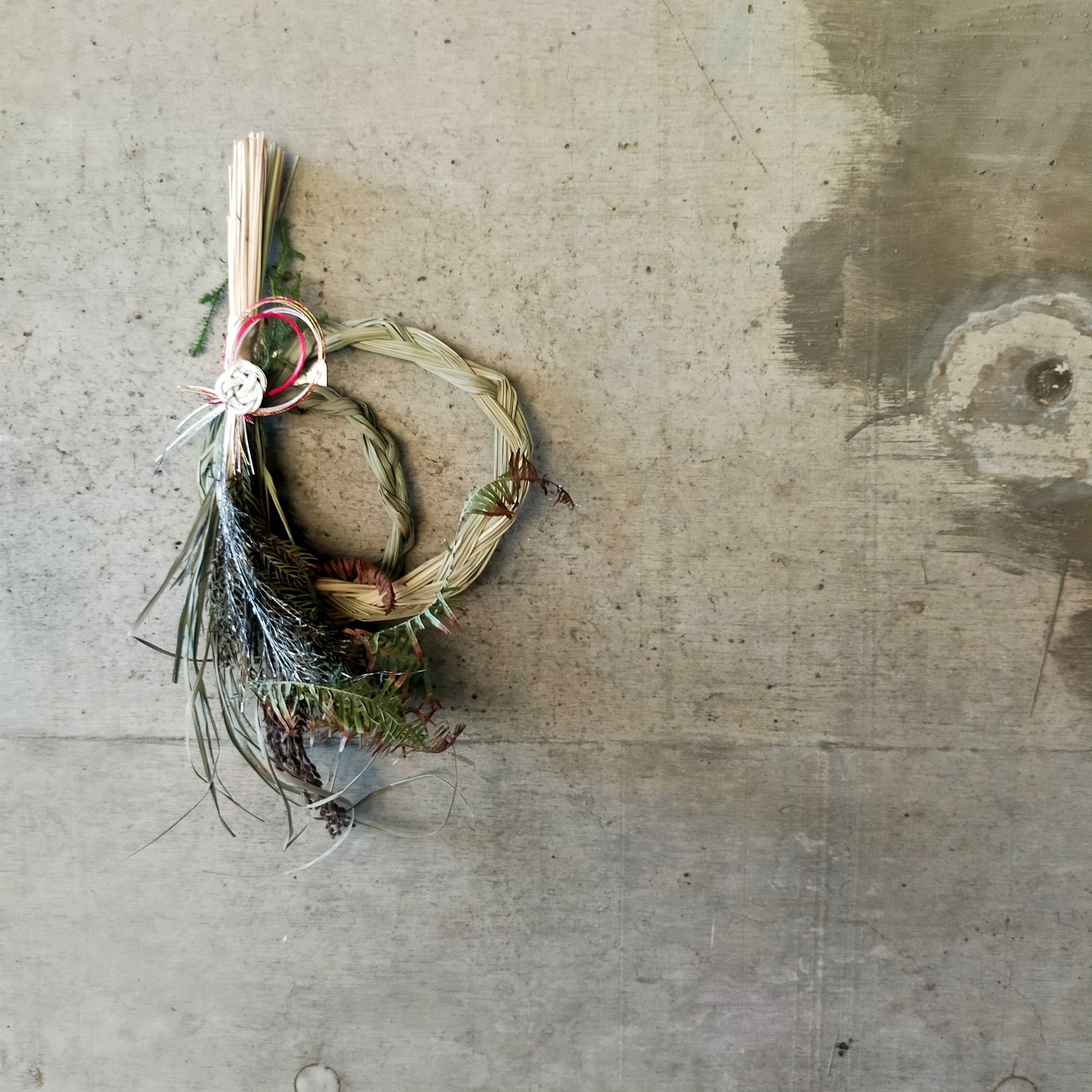 ドライフラワーしめ縄【Dried Flower Japanese wreath】