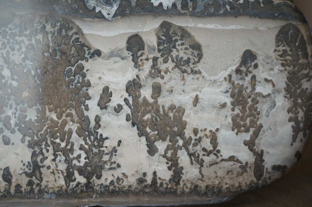 コタム・マーブル Cotham Marble 2028