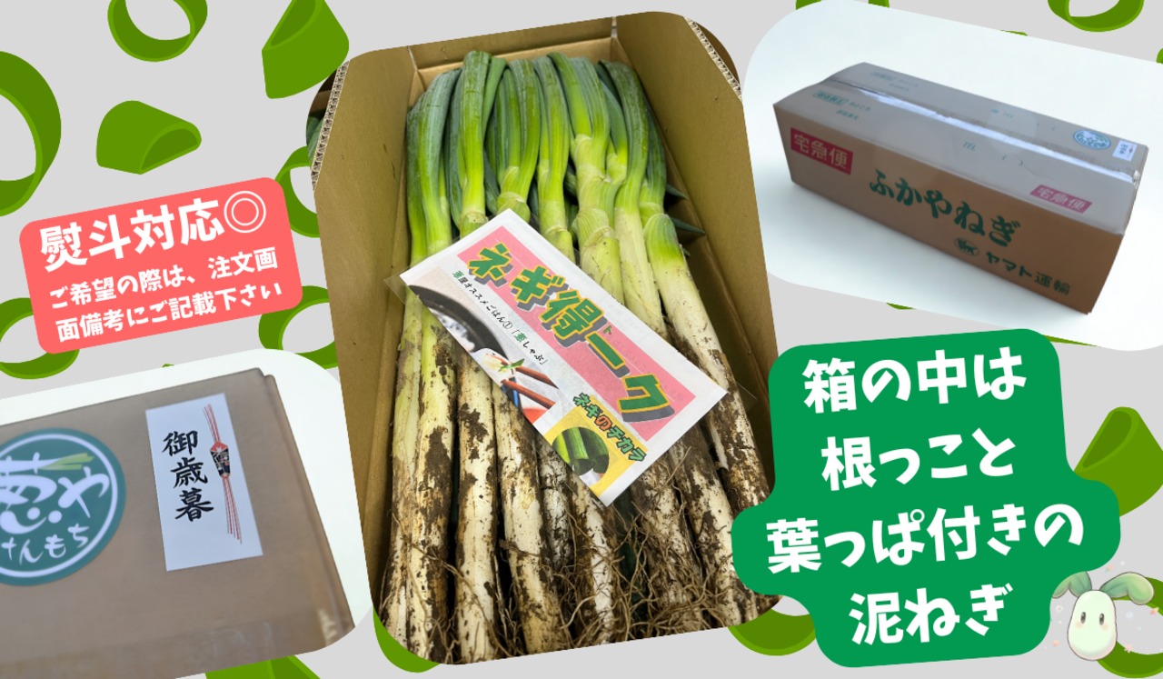 深谷蜜ねぎ2,5キロ
