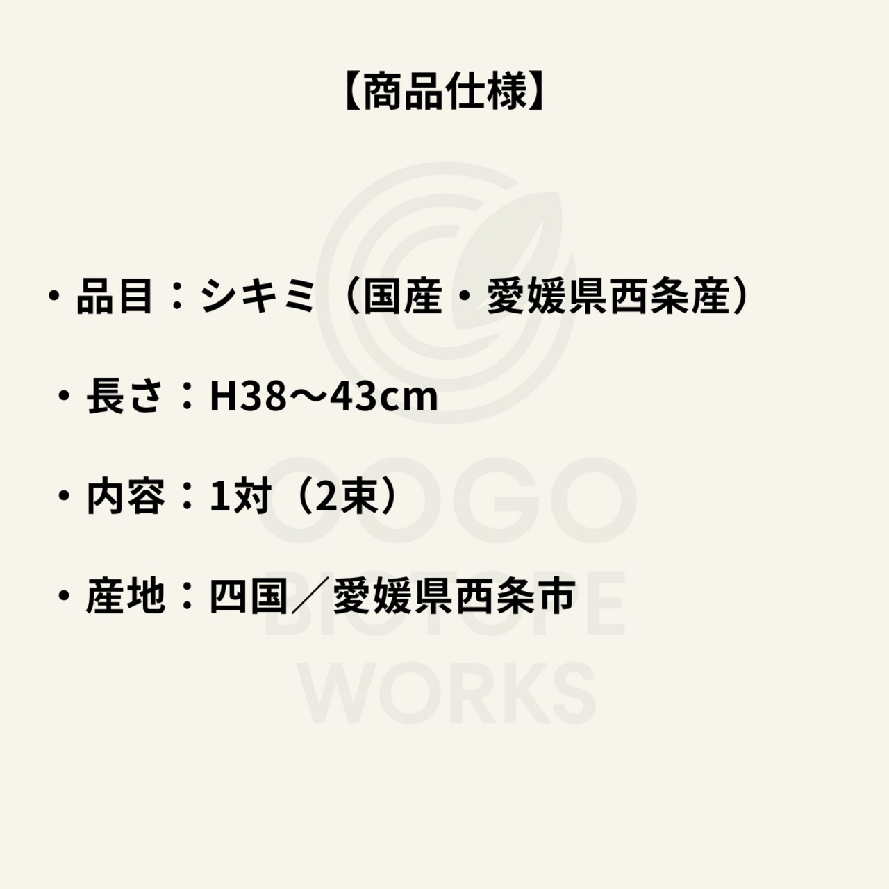 【OOGO】国産シキミ 切り枝 L（53–58cm） | oogobiotope