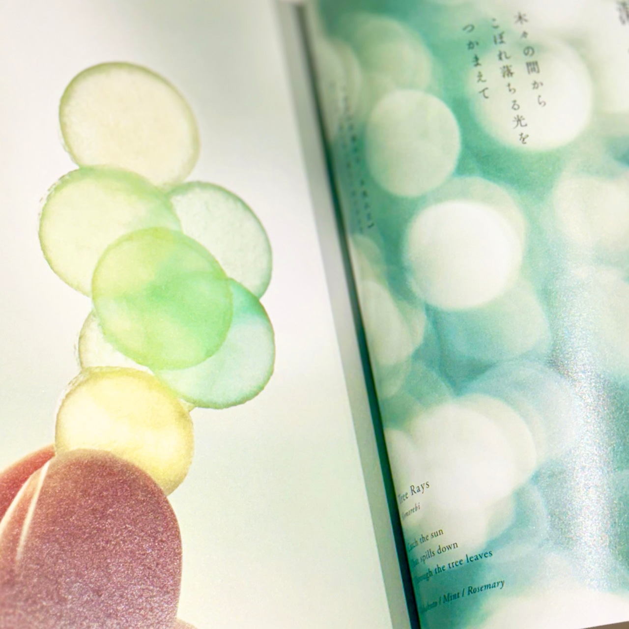和菓子と言の葉 デザイナーが紡ぐ四季の物語