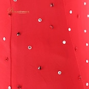 社交ダンス 衣装 スタンダードドレス ワンピース ドレス スタンダード 赤 フロート レース イングランド製 無地 ストレッチ チュール 豪華 デモ 競技 ダンス パーティ 発表会 ビジュー レッド系 フォーマルドレス おしゃれ 高級感 華やか エレガント レディース用