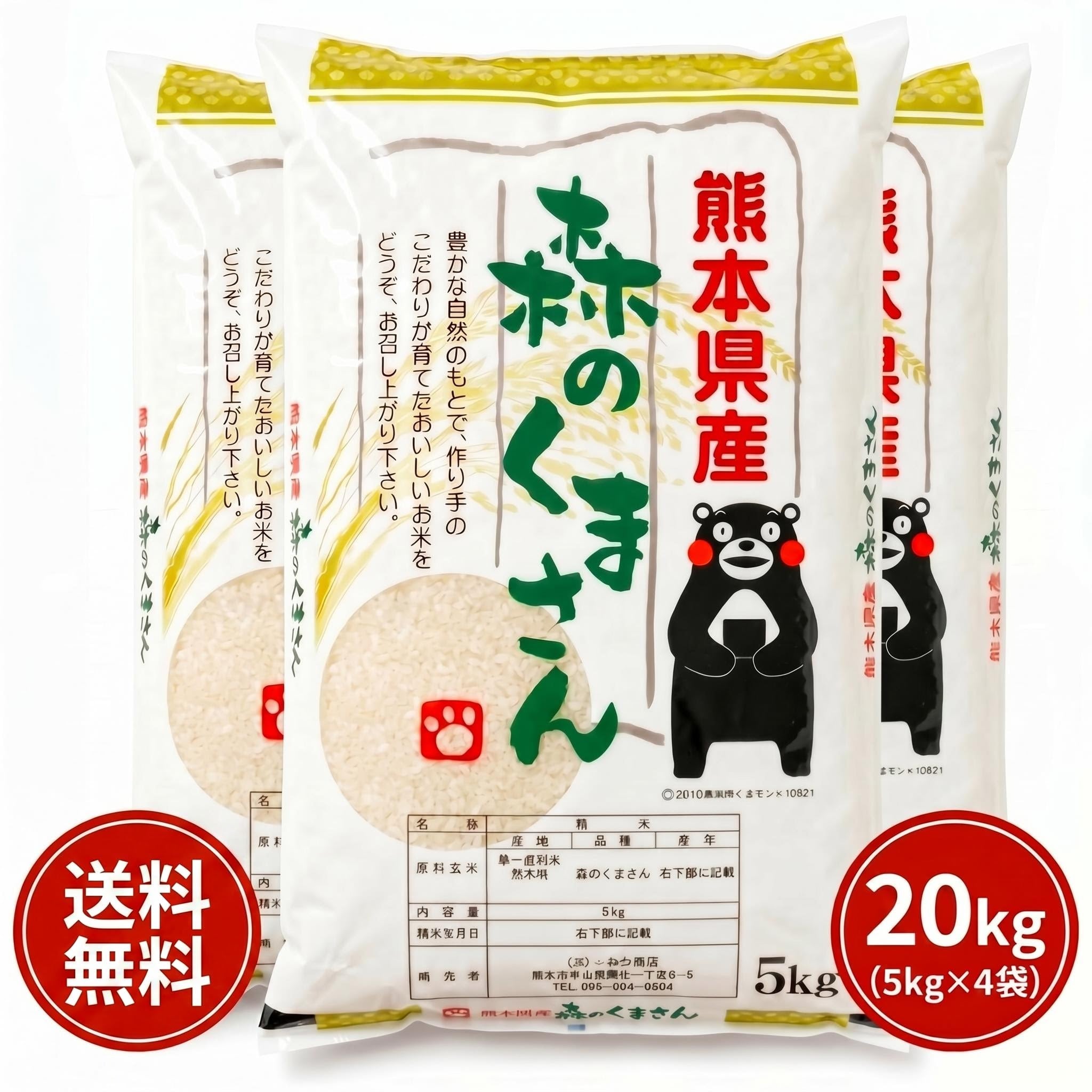 お米 米 5kg 白米 送料無料 熊本県産 森のくまさん 令和7年産 5kg1個