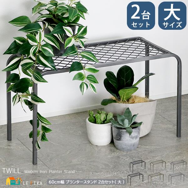 お買い得 多肉植物 ぷくぷく系 4点セット | PAY ID