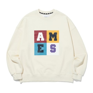 [AMES-WORLDWIDE] BOX LOGO SWEATSHIRTS_IV 正規品 韓国ブランド 韓国ファッション 韓国通販 韓国代行 トレーナー