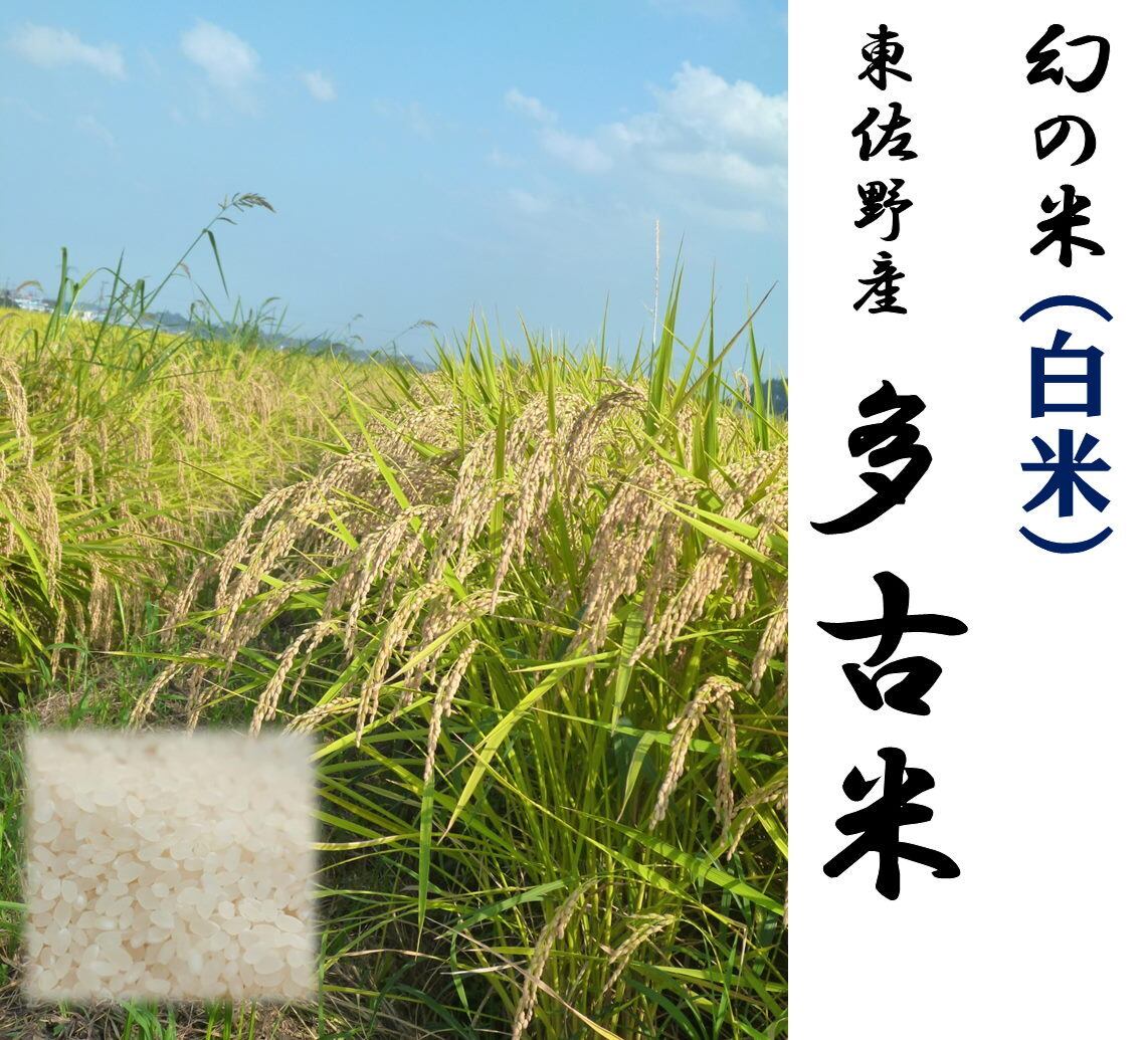 農薬節減栽培米　幻の米　東佐野産　多古米　こしひかり　白米　10kg　加藤農園　多古米の加藤農園