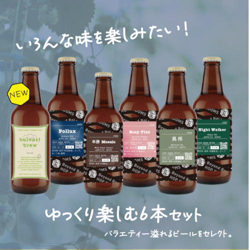 【バラエティ豊か！】ゆっくり楽しむ6本セット
