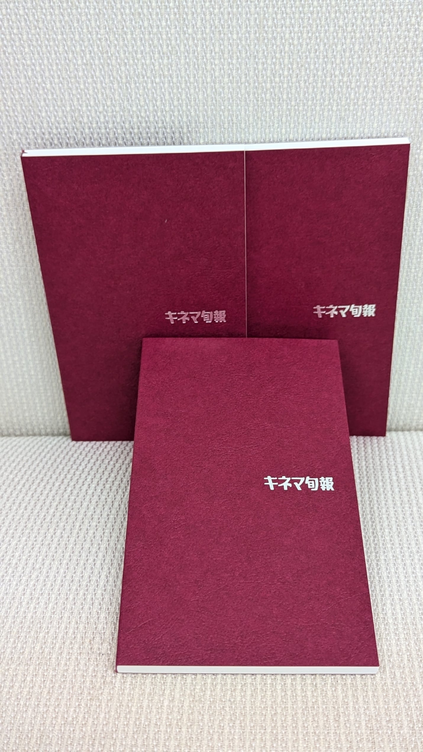 希少本 映画年鑑 2019年版 ケース付き/ 映画館名簿1冊付き キネマ旬報社 e40f9a927705db20682fa76243e4f7