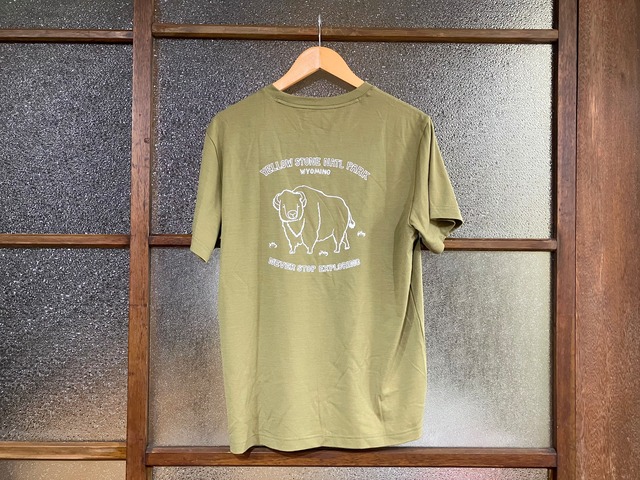 THE NORTH FACE WHITE LABEL MERINO WOOL GRAPHIC TEE (BISON/OLIVE)