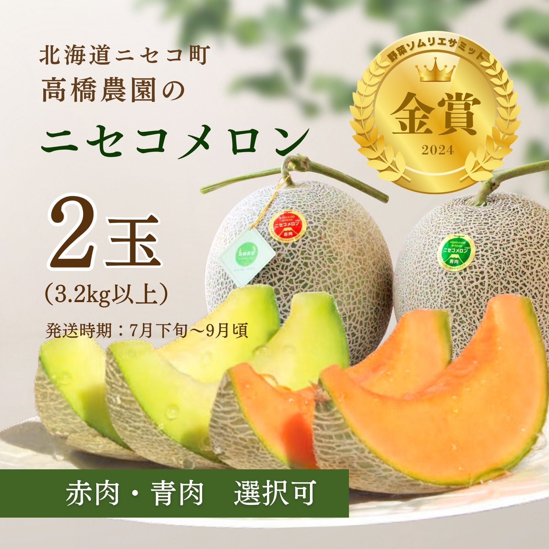 メロン2玉＜色指定可＞＜7月下旬～9月通常発送＞ | 北海道ニセコ町