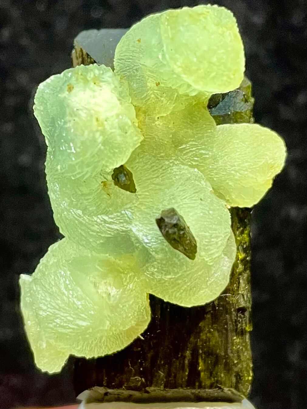 7) 愛・平和・癒しの心「マリ産プレナイト」AAAAA