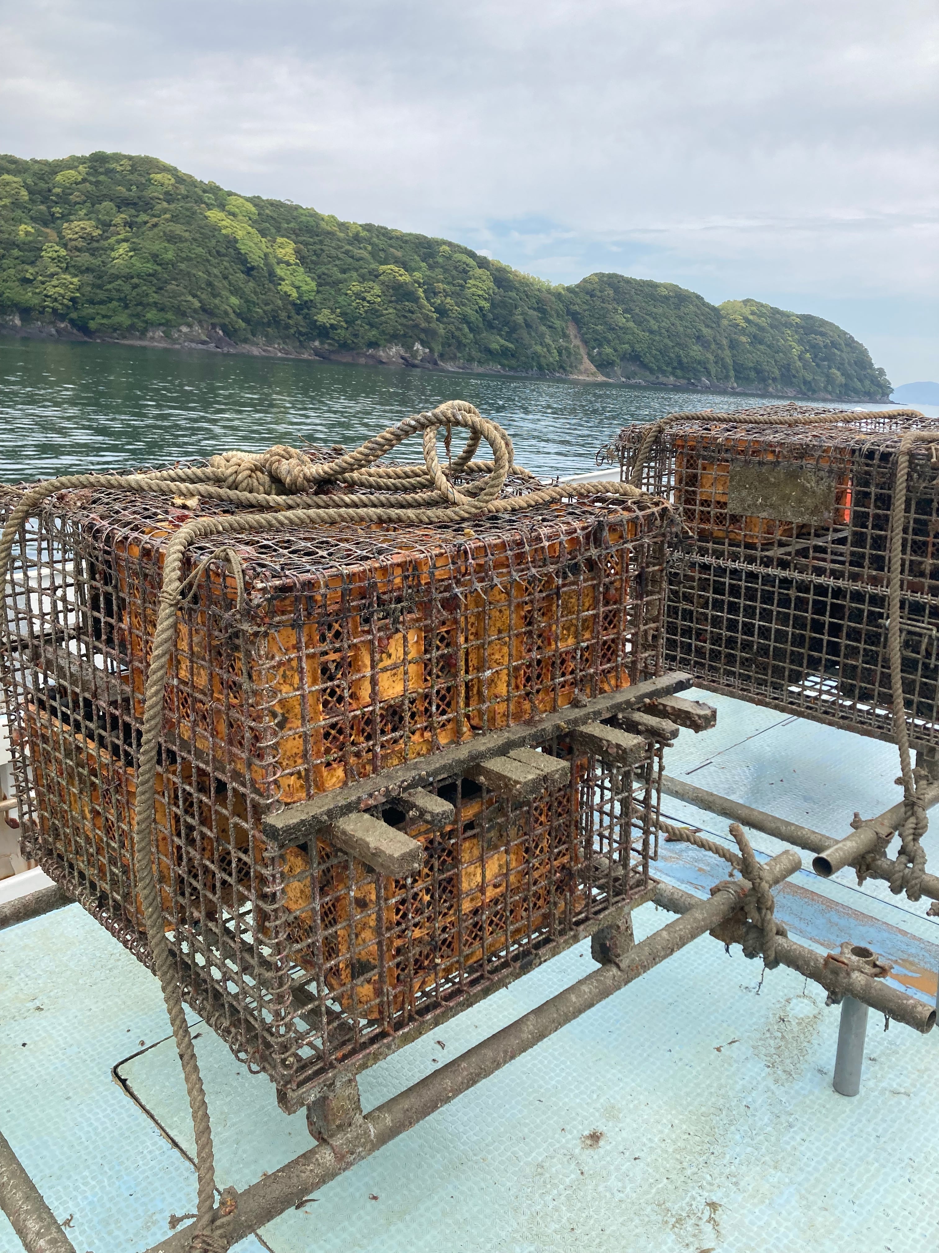 海底貯蔵ワインMARIREIN白 ギフトBOX入 | MARIREINE