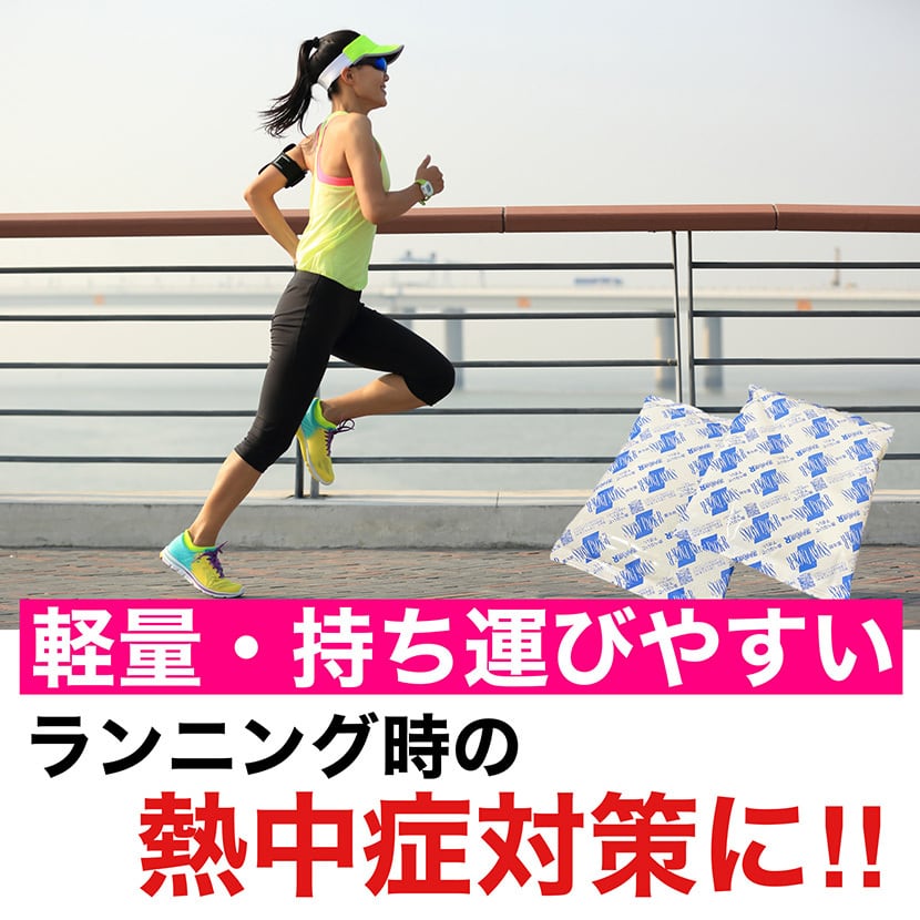 氷点下冷却剤 ソフトタイプ 400g×2個