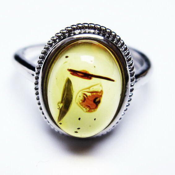 琥珀 アンバー リング 指輪 フリーサイズ 18号 一点物 [M便 1/20] 115-4756