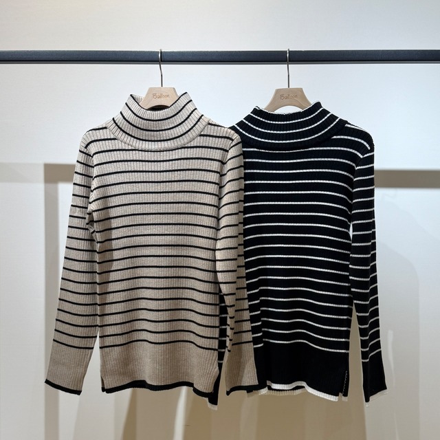 リブボーダータートル