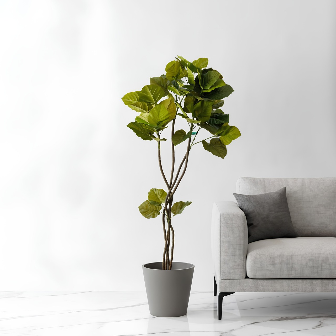 ウンベラータ 150㎝［人工観葉植物・フェイクグリーンT］