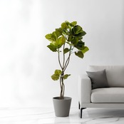 ウンベラータ 150㎝［人工観葉植物・フェイクグリーンT］