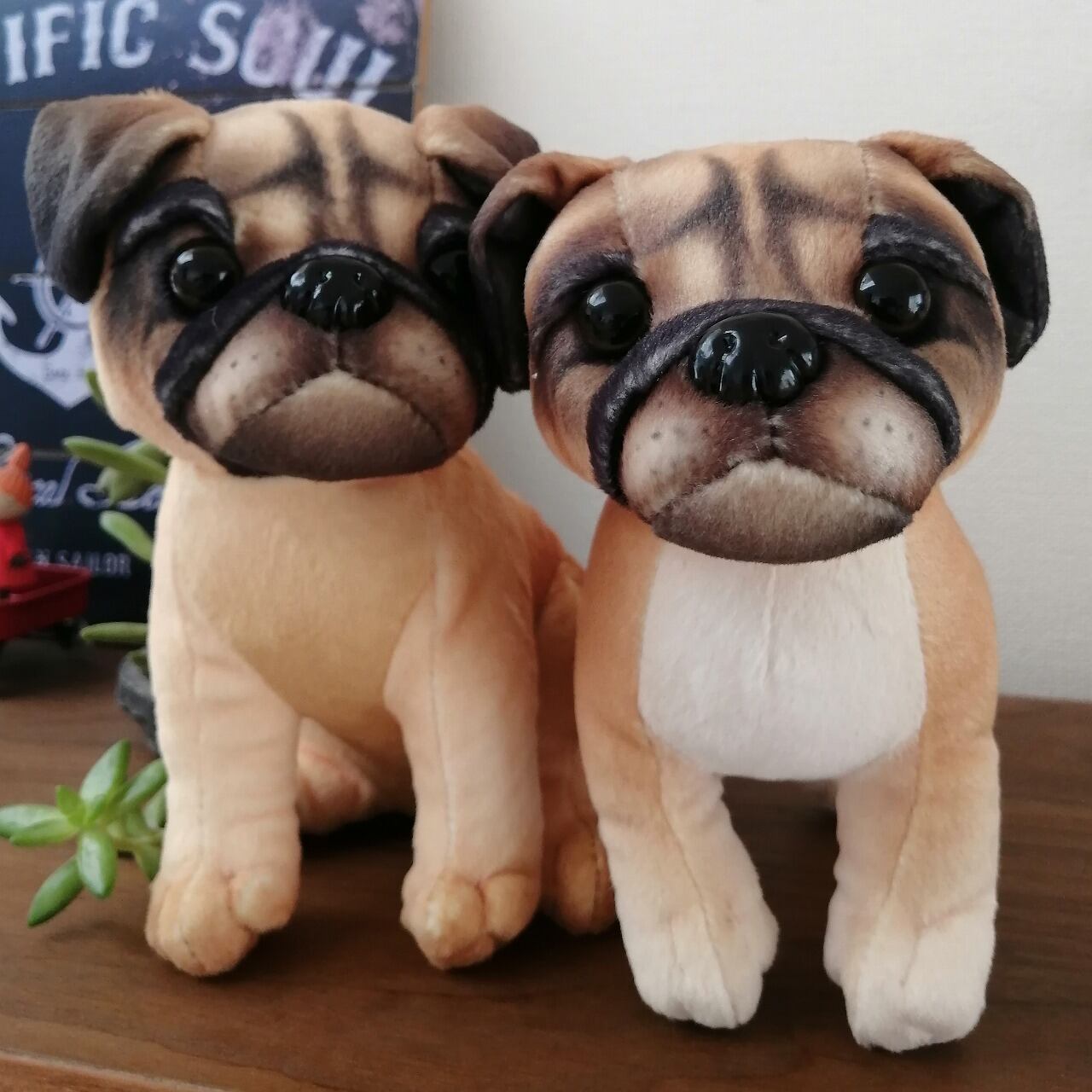 パグちゃん専門店 ちくわちゃん家