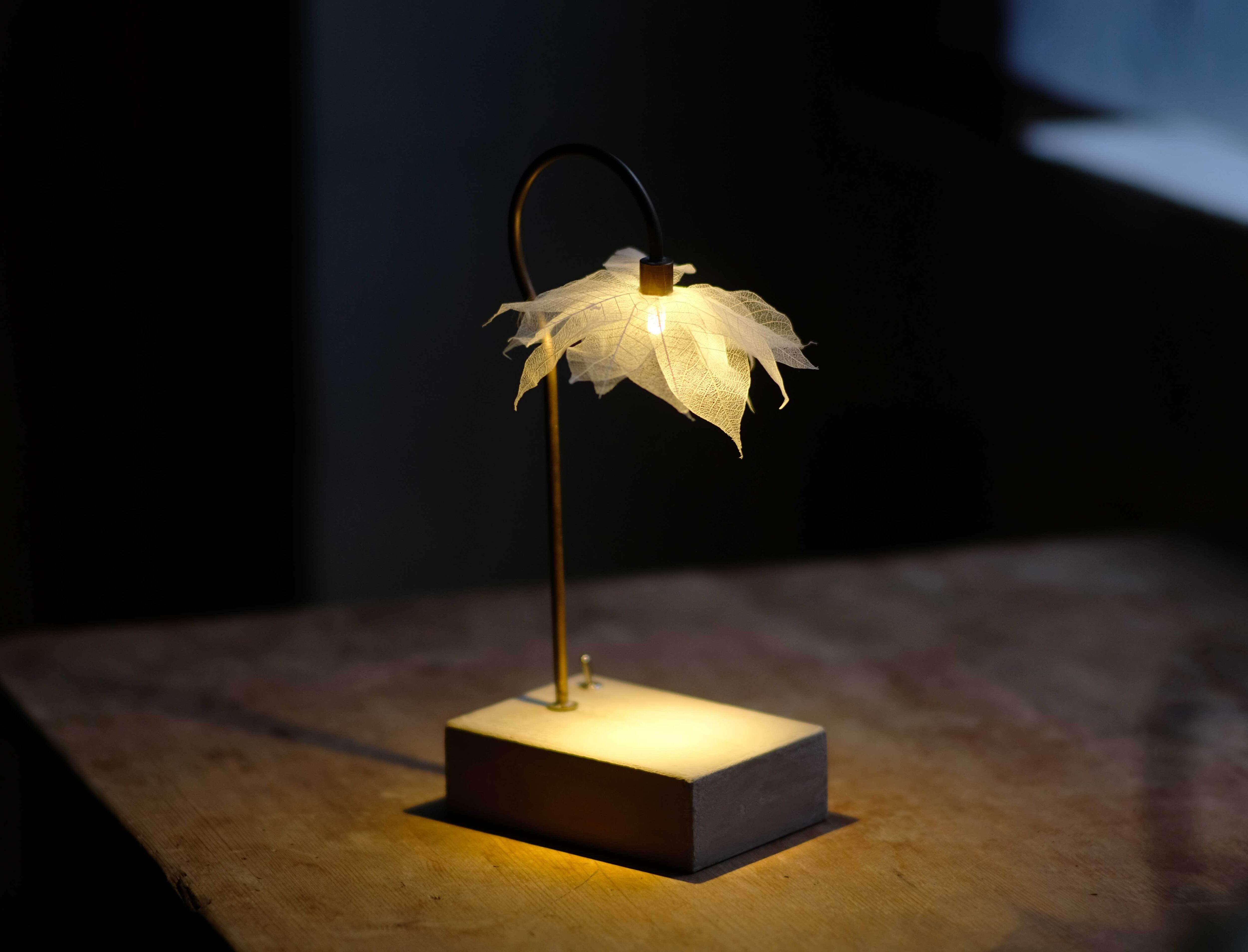 LAMP/照明・ランプ | はいいろオオカミ＋花屋西別府商店