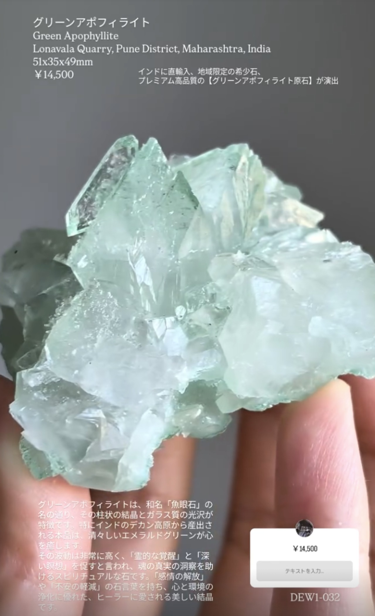 ⭔ お客様専用ページ ⭔ elyna29様　