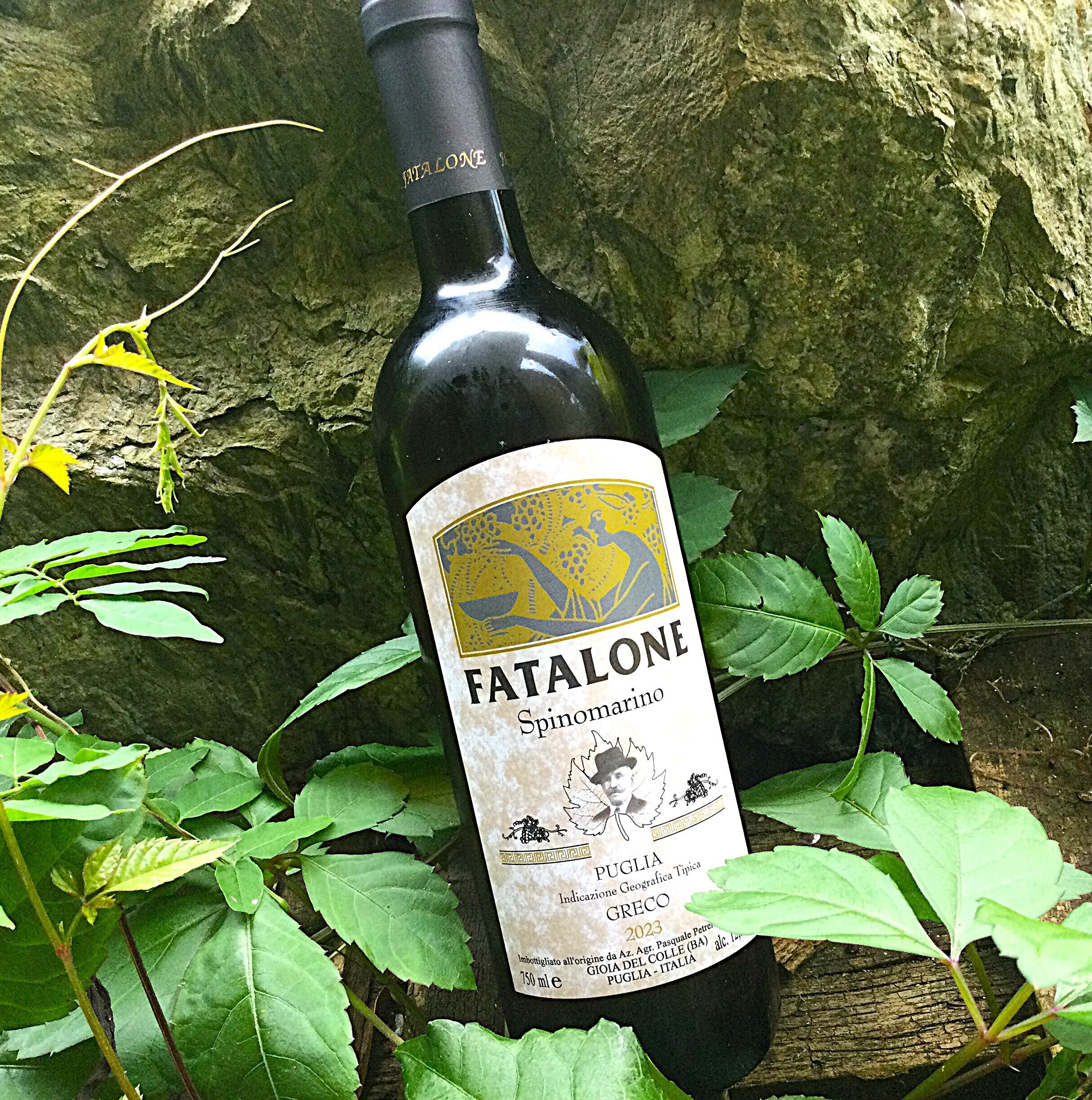 2021年[白] XXI(ヴァンテアン) / ディディエ ダグノー | 大澤田葡萄酒店