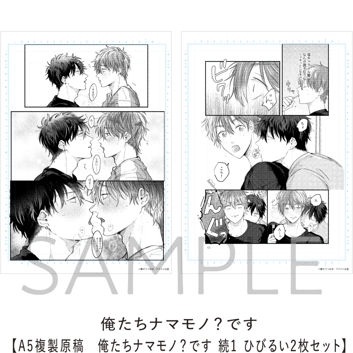 俺たちナマモノ？です【A5複製原稿 俺たちナマモノ？です 続1 ひびるい