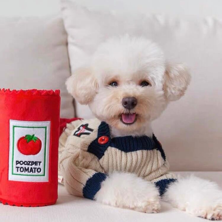 トマトケチャップtoy Haenim Dog Shop