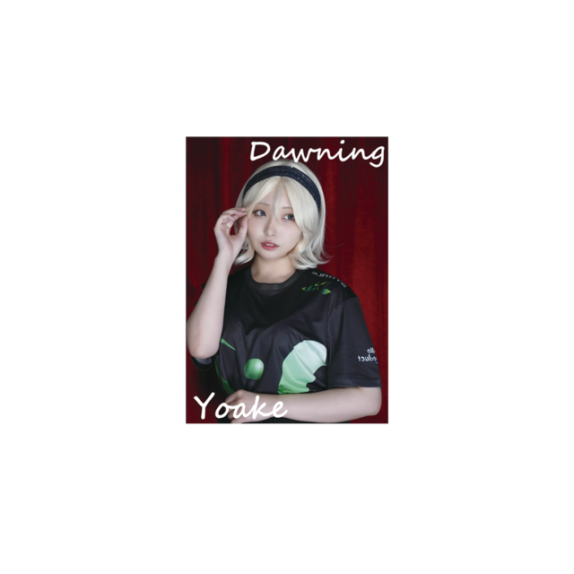 写真集（冊子Ver）