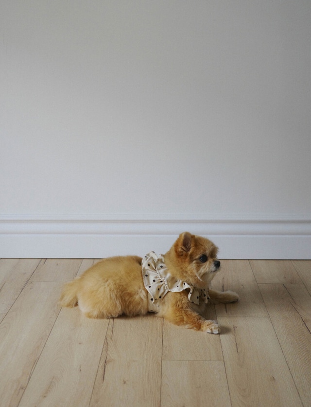 〈即納アイテム〉OHDIBS / capeness no.13 _ Cream Dot