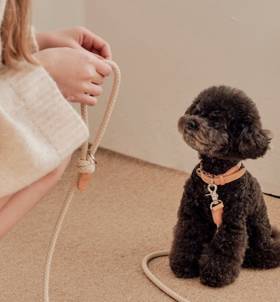 即納【stroll】Rope Collar (Beige)