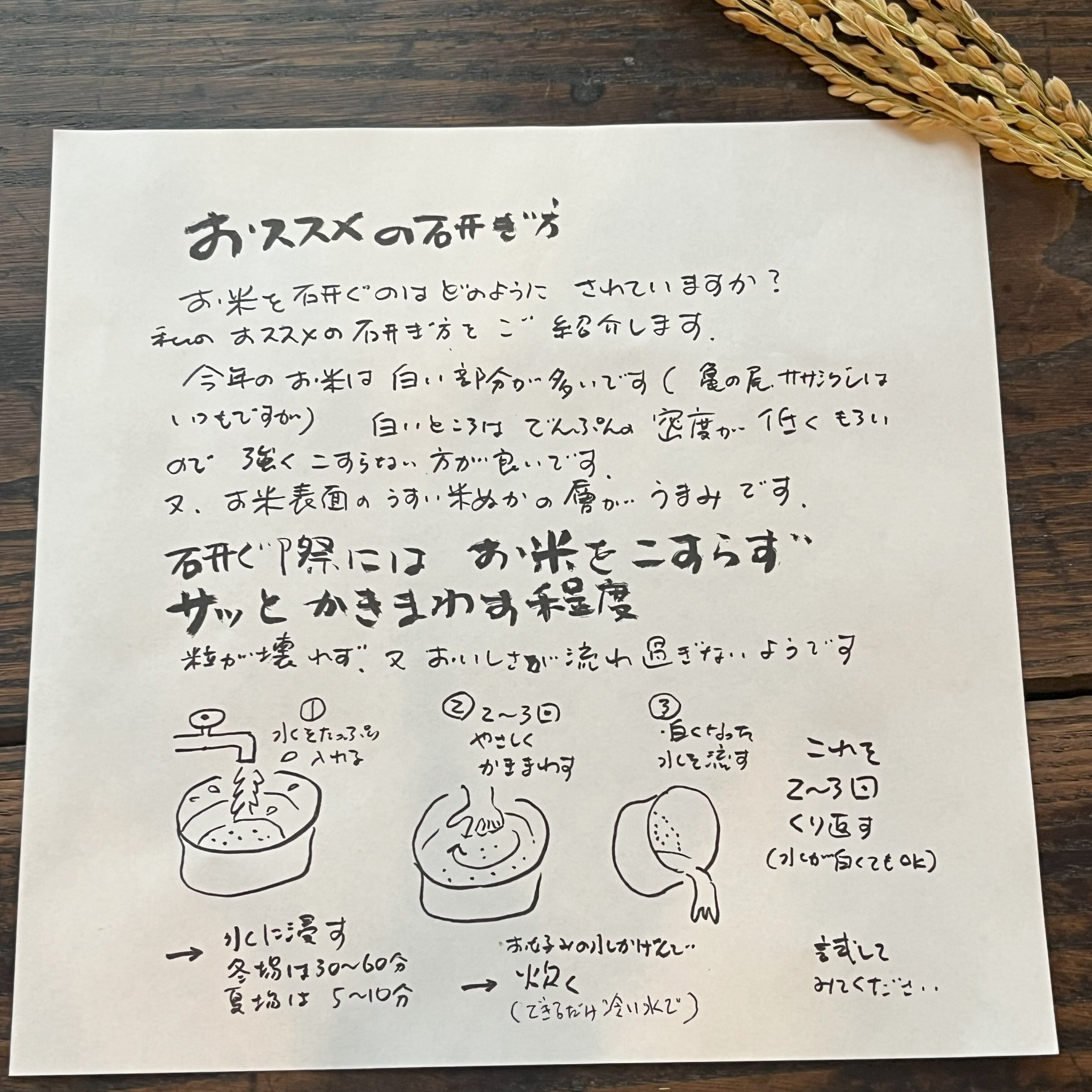 自然栽培米】宮尾農園 玄米 亀の尾 3kg | 協同組合 人田畑