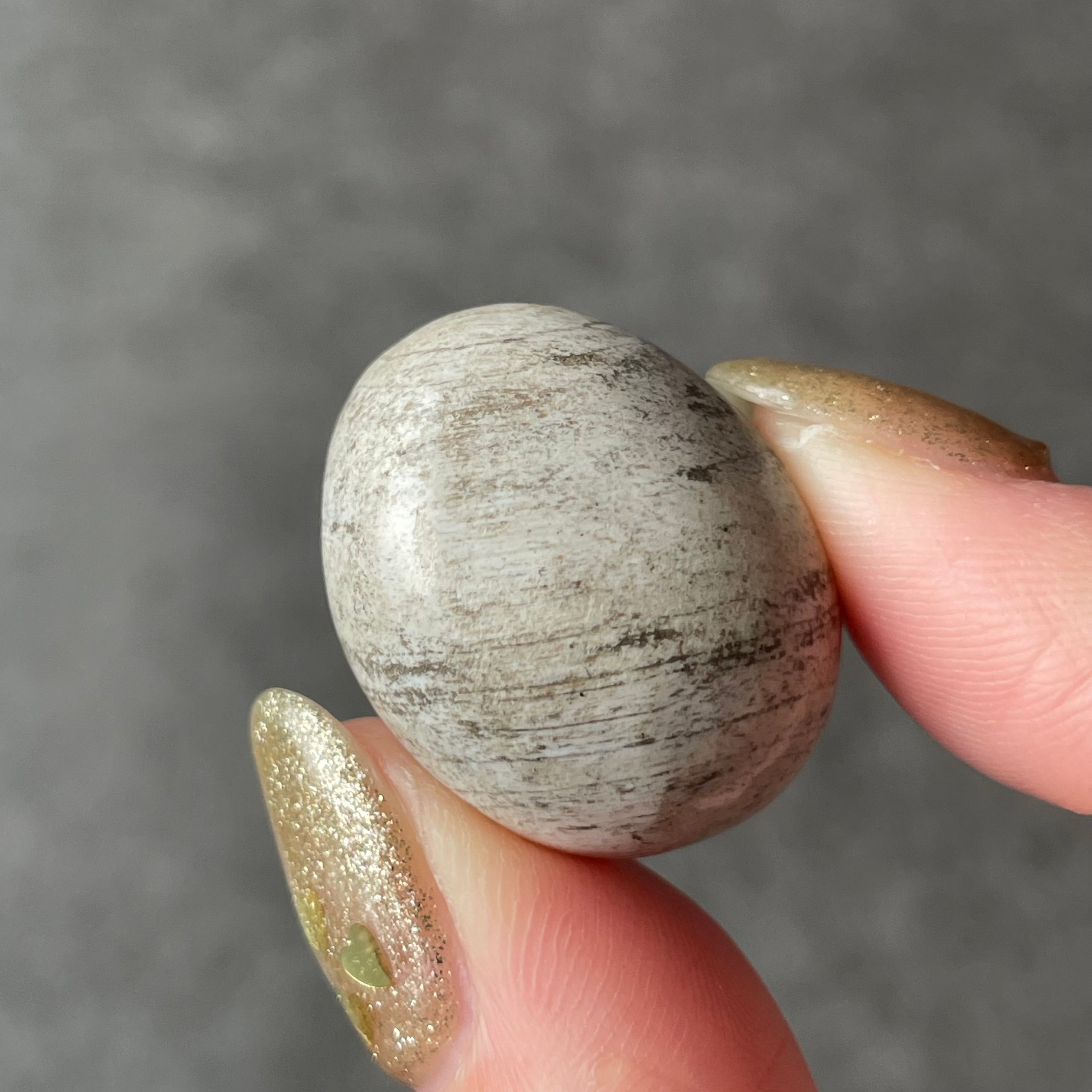 Petrified Wood ペトリファイドウッド|Tumble タンブル|天然石 パワーストーン 鉱物 gem stone